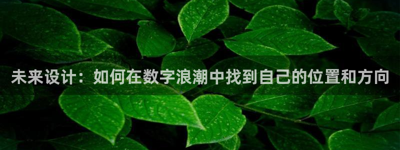九游会体育开户