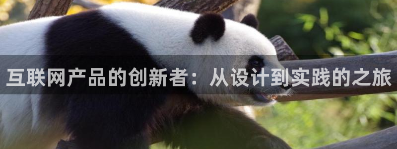 九游会j 9