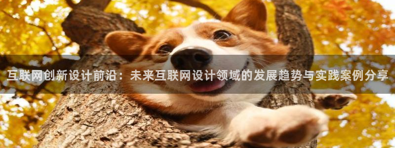 ag九游会官网登