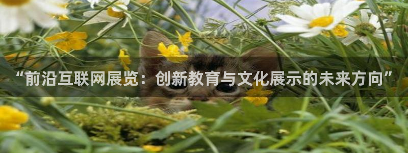 ga九游会