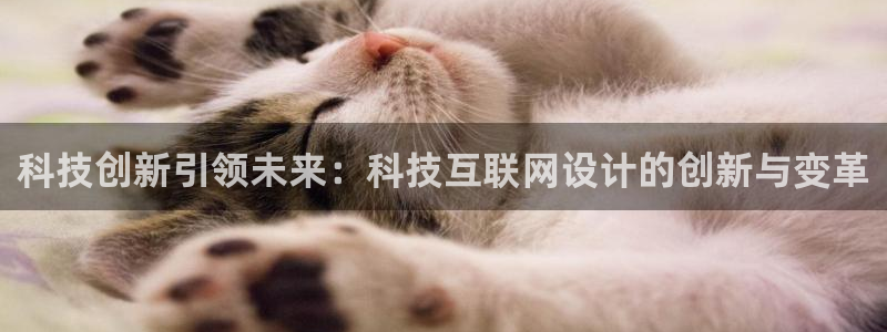 九游会网站多少