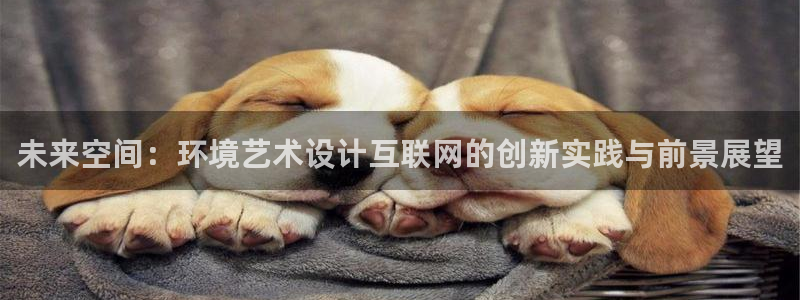 九游会充币