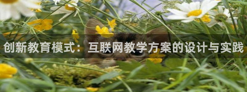 ag九游会明星代言：创新教育模