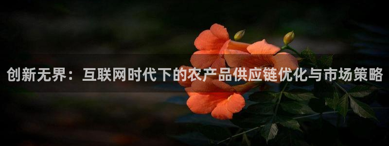 九游会国际厅：创新无界：互联网