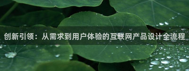 九游会登录ag：创新引领：从需
