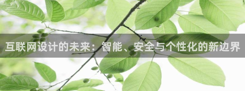 菲律宾九游会：互联网设计的未来