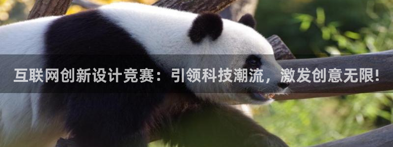 九游会追杀：互联网创新设计竞赛