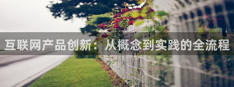 九游会论坛最大：互联网产品创新