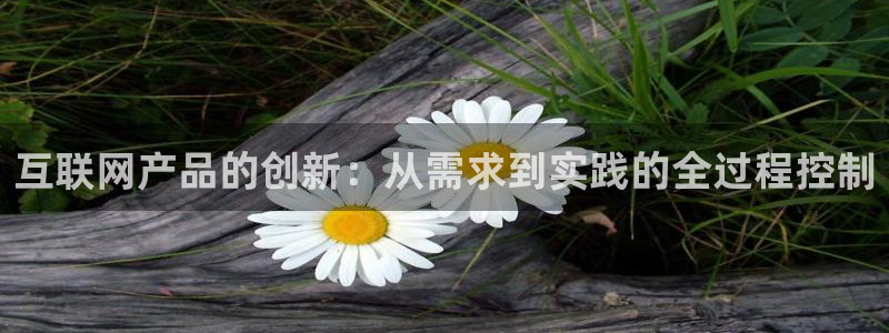 九游会国际：互联网产品的创新：