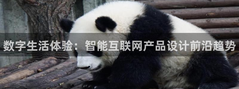 九游会怎么挖矿：数字生活体验：