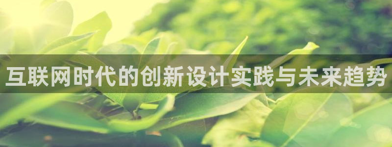九游会毕：互联网时代的创新设计