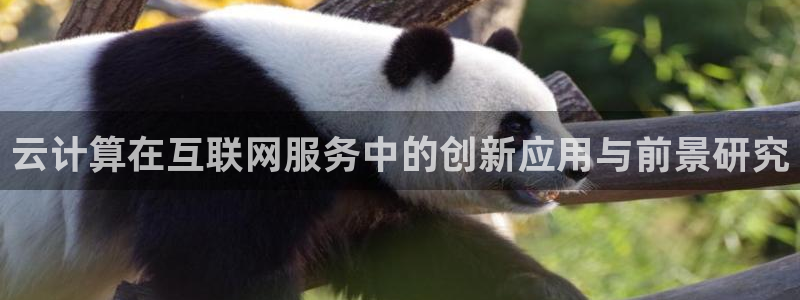 九游会备用网站