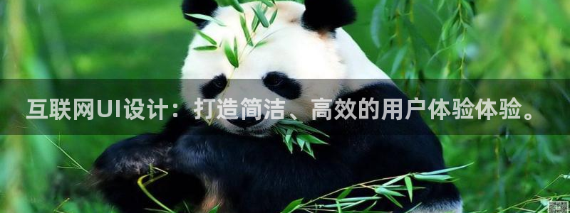 亚洲AG九游会