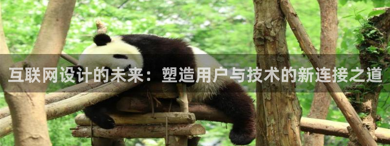 九游会游戏官方网站