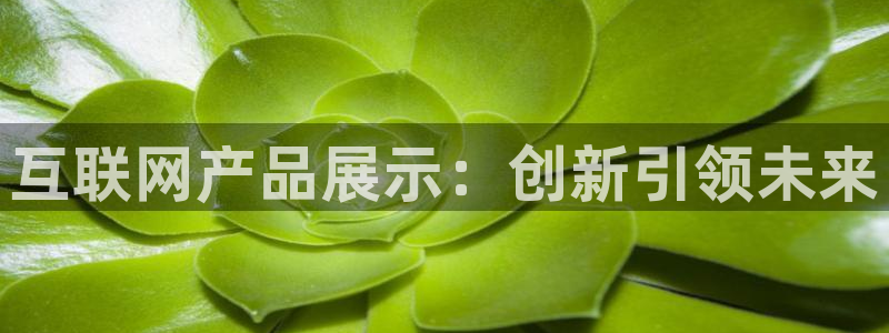 泰国九游会