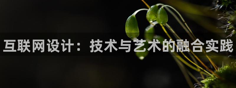 九曲灯游会介绍