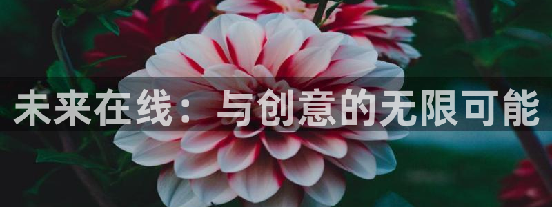 九游会j9官网ag