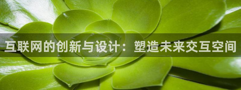 九游会JY官网