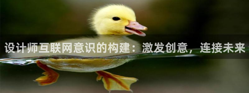 九游会官网入口手机版