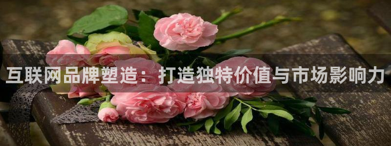 九游会代理：互联网品牌塑造：打
