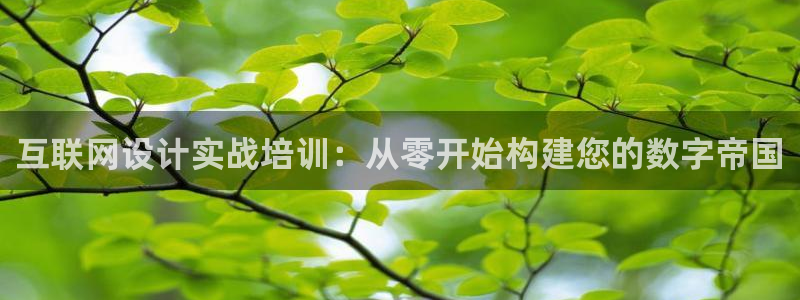 ag九游会网址大全
