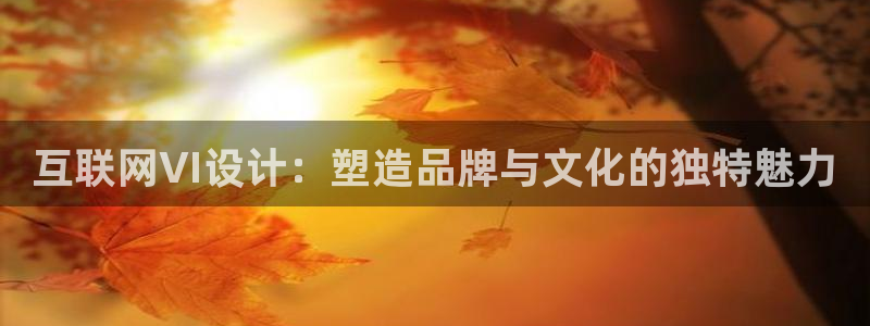 ag九游会国际：互联网VI设计