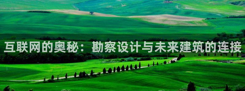 九游会官网登录ag：互联网的奥