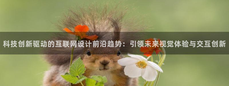 j9.com九游会官网