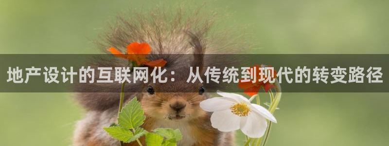 九游会网页游戏