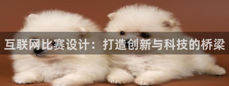 九游会手机游戏：互联网比赛设计
