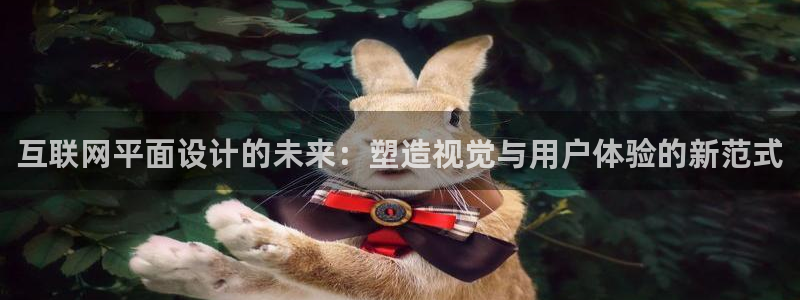 j9九游会网址多少：互联网平面