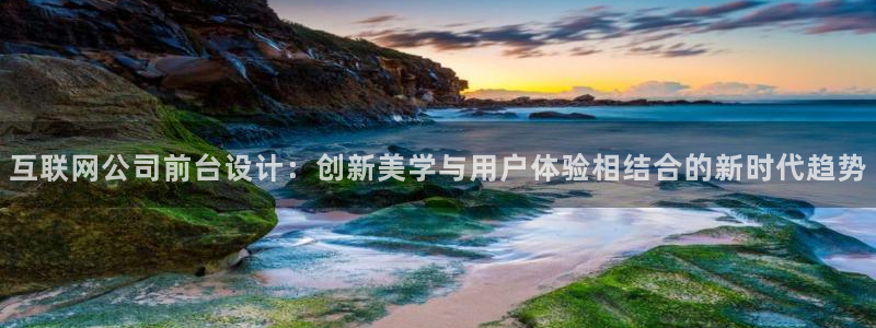 九游会特斯拉：互联网公司前台设