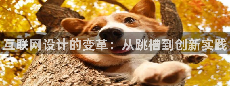 九游会网页版登录