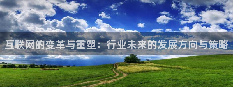 九游会体育网页：互联网的变革与