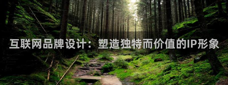 九游会体育客户端