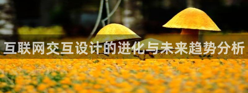 九游会国际物流