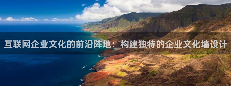 九游会注册登录：互联网企业文化