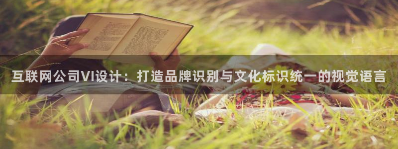 九游会安全码：互联网公司VI设