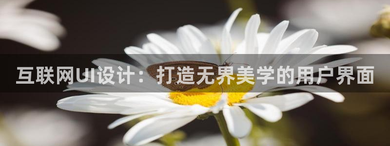 九游会网站打不开