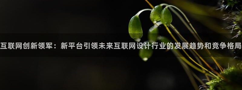 九游会投币入口