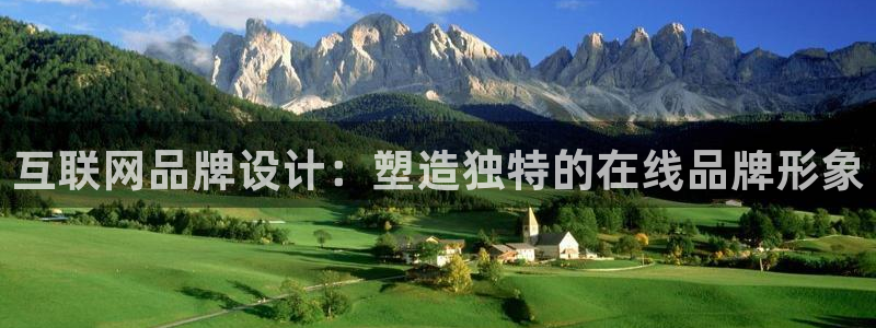 九游会手机平台：互联网品牌设计