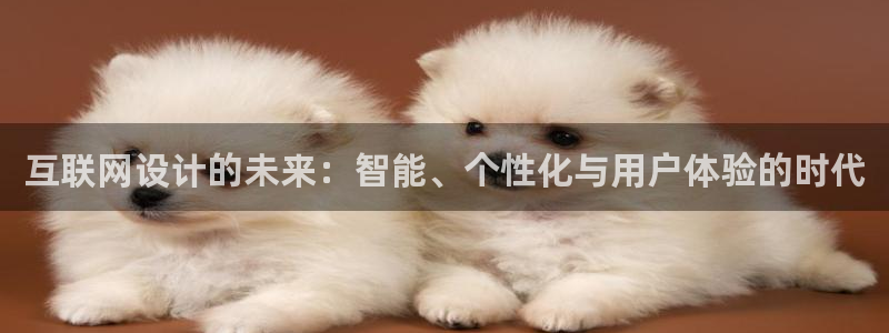 九游会与俄罗斯专享会：互联网设