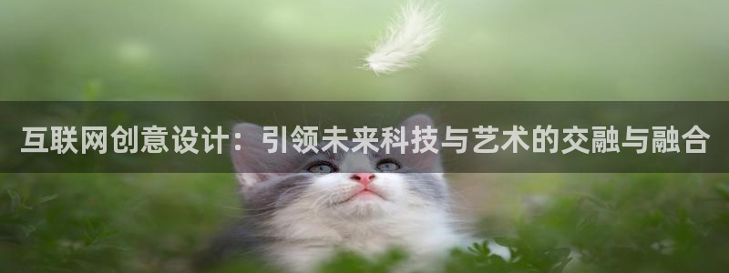 九游会网站：互联网创意设计：引