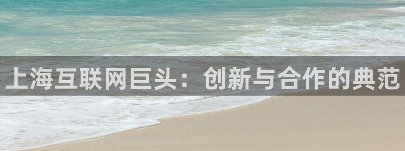 ag九游会入口：上海互联网巨头